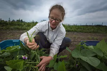 Root Radical CSA