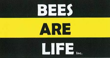 Bees are Life