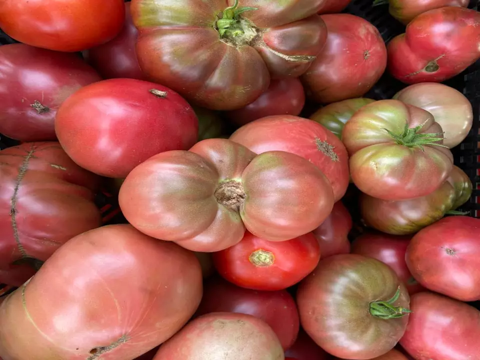 Dunrobin Market Garden