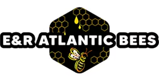 Atlantic Bees