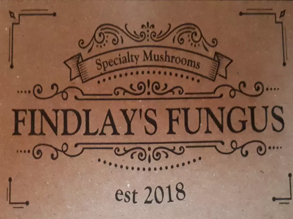 Findlay's Fungus