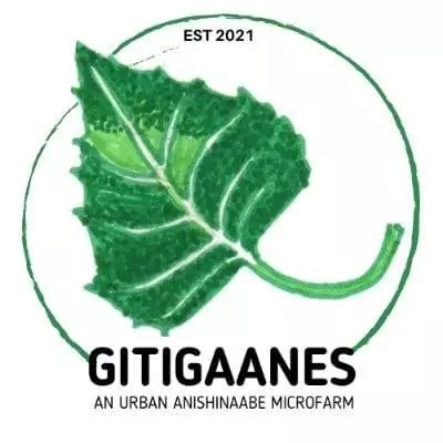 Gitigaanes