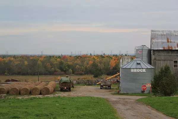 Haanover View Farms