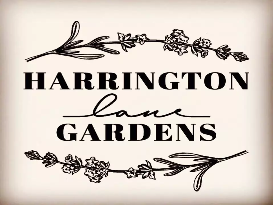 Harrington Lane Gardens
