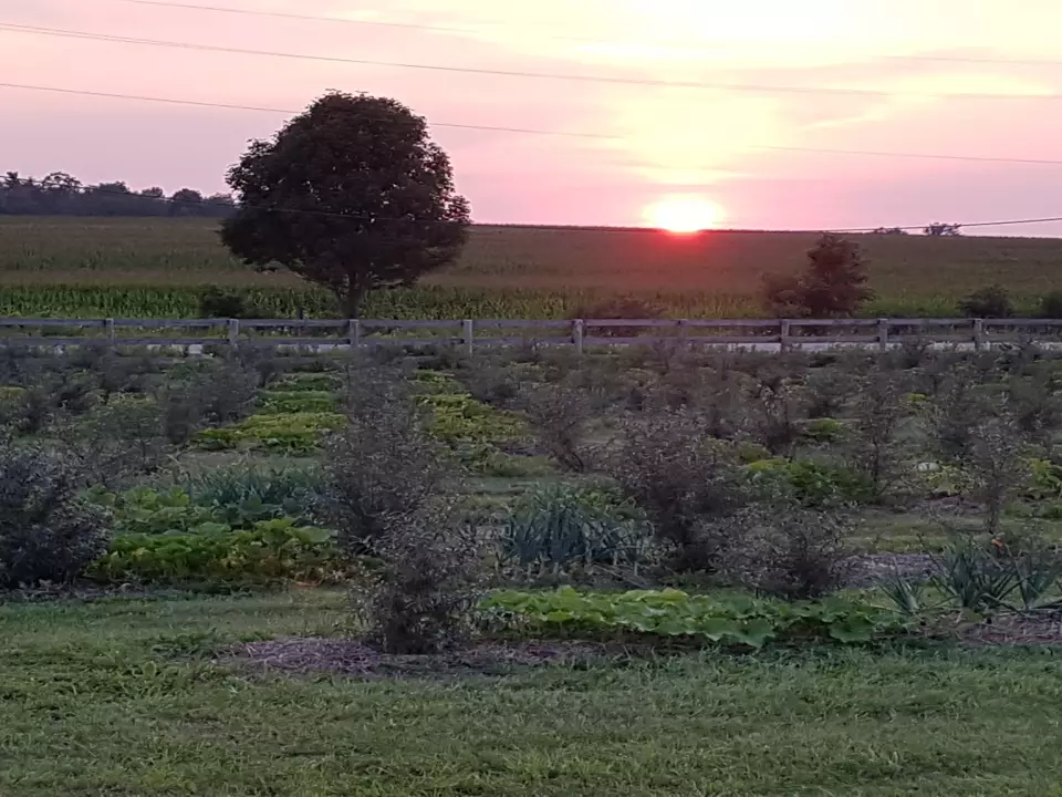 Montgomery Shire Orchard