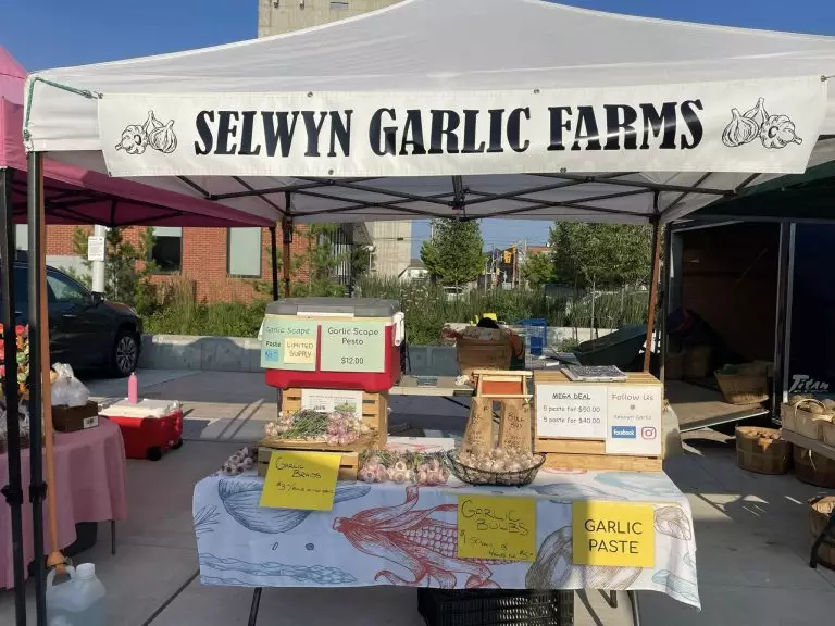 Selwyn Garlic Farms