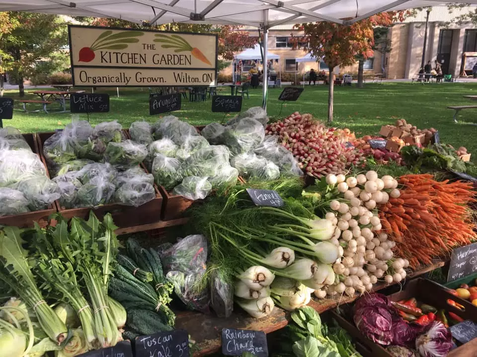 The Kitchen Garden