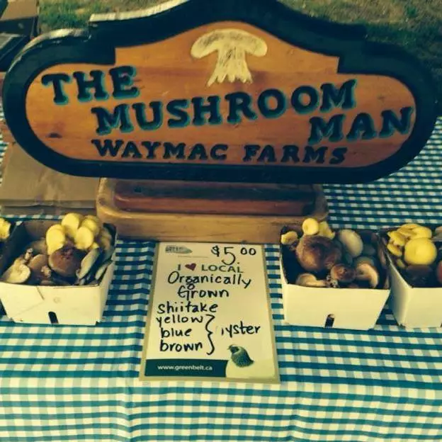 Waymac Mushroom Farm