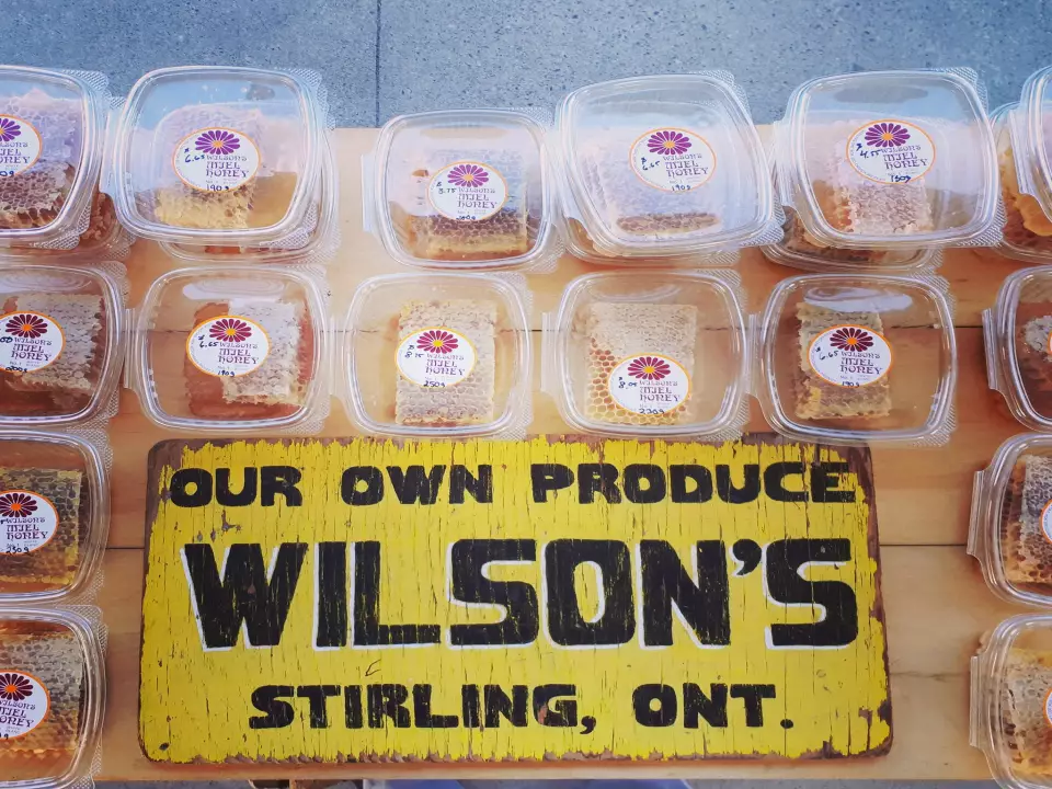 Wilson Apiaries